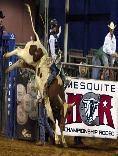 Multi-use venue. Home of the Mesquite Championship Rodeo. Great entertainment and fun for all ages. Air-conditioned.