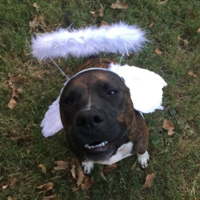 lauren22618's profile picture. 