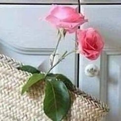 Obrigad75706174's profile picture. Thankssss