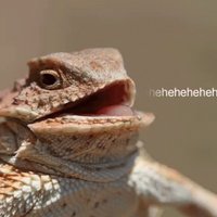 Rubric (@rubriccc) 's Twitter Profile