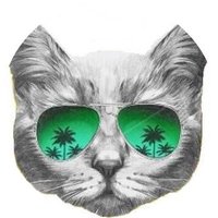 Gato Cabrón (@gatocabron1) 's Twitter Profile Photo