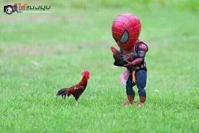 SPsKAk0TcglUN9i's profile picture. รักสนุก