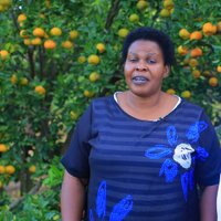 Delight Uganda Limited (@delightuganda) 's Twitter Profile