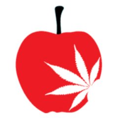 NYC Cannabis Film Festival