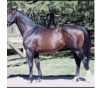 Morgan Laird - @starayle - Twitter