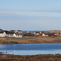 Grinneabhat (@grinneabhat) 's Twitter Profile