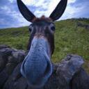 Fraser Walsh - @fraserwalsh - Twitter