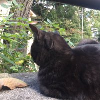 ひいろ (@_u017) 's Twitter Profile