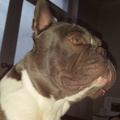 GClapham's profile picture. ⚪️⚫️⚪️⚫️⚪️ UTM