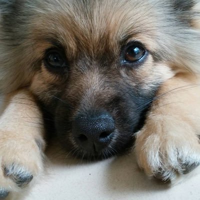 rankunK0122's profile picture. 潰瘍性大腸炎、大腸腺腫内癌などの情報収集です。無言フォロー失礼します。