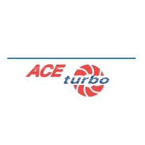 ACE Turbo manufactures turbo blowers and vacuum pumps(air compressor, refrigerant compressor) based on high-speed rotor technology.