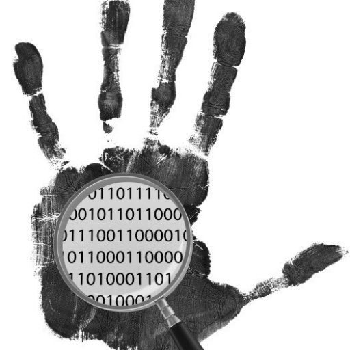 T0rmann's profile picture. 