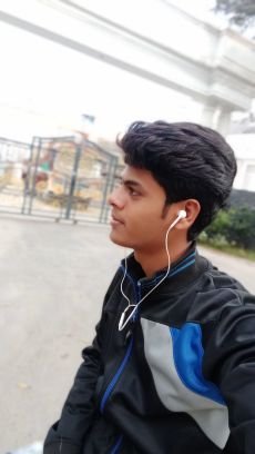 Dipanka83206178's profile picture. Steady