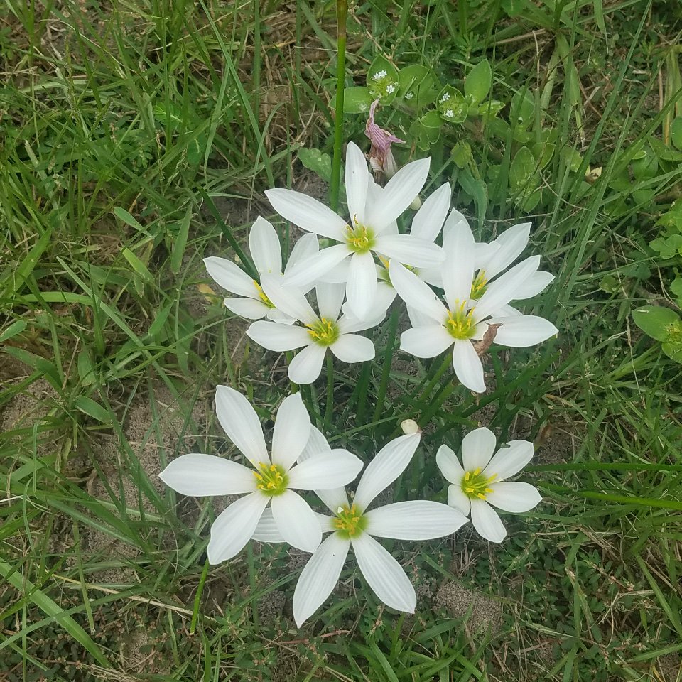 Kristie39618275's profile picture. 