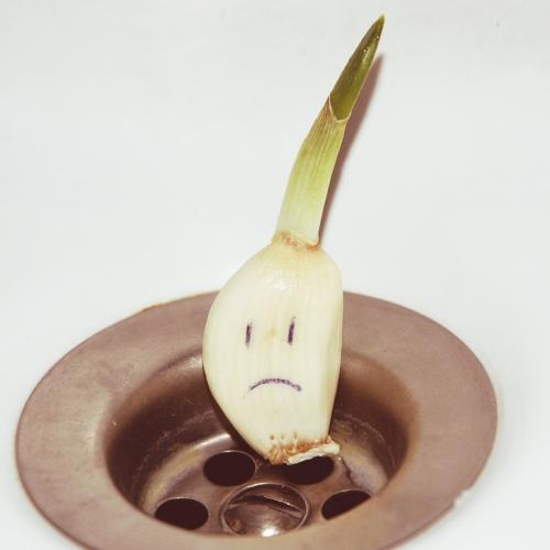 Hvitløk i vask on twitter: "Ã
rets lano Ãrn 2011 http://bit.ly/dcllfp"