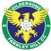 Gildersome & Farnley Hill CC (@gandfcc) Twitter profile photo Gildersome & Farnley Hill CC (@gandfcc) Twitter profile photo