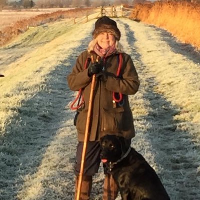 poliwigg's profile picture. Owner of two mad Labradors,Singer, Jam maker, knitter, mad chicken lady,very grateful liver transplant recipient twice over. Each day is very special.