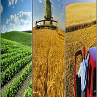 AgBlogFeed (@agblogfeed) 's Twitter Profile