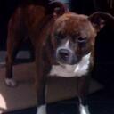 Ade Banks - @banksy1980 - Twitter