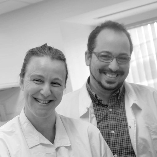 Lab at Albany Medical College, led by Sophie Belin and Yannick Poitelon.
Sciencing therapeutic strategies for myelin disorders