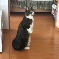 MIZU@RRGツクールMZにてFORTUNE制作中 (@mizu_3255) 's Twitter Profile