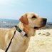 Ana Crespo (@1970acp) Twitter profile photo Ana Crespo (@1970acp) Twitter profile photo