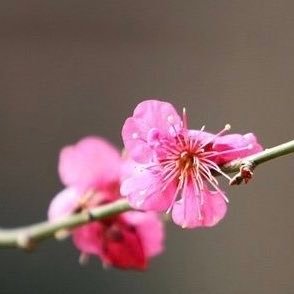 lupitaking62's profile picture. 