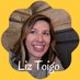 Liz Toigo (@toewego) Twitter profile photo