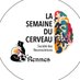 Semaine du Cerveau_Rennes (@SemCerveau35) Twitter profile photo