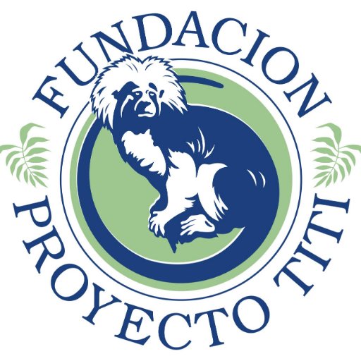 Proyecto Titi Profile