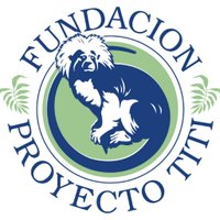 Proyecto Titi (@proyectotiti) 's Twitter Profile