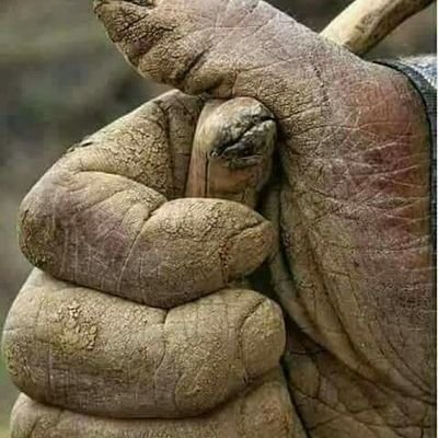 Endrisupriyant3's profile picture. Guru kui sejatine alam