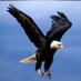Sky king (@tzsals) Twitter profile photo Sky king (@tzsals) Twitter profile photo