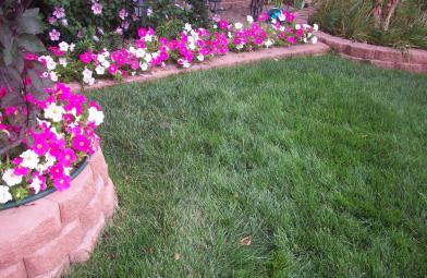 LawncareGeek's profile picture. 