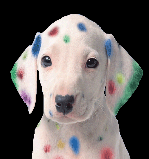 speedprostpaul's profile picture. We Print BIG. banners, signs, tradeshow displays, vehicle wraps, life-size cutouts, window graphics, and more!