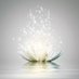 Aarna beauty (@aarnabeauty) Twitter profile photo Aarna beauty (@aarnabeauty) Twitter profile photo