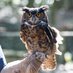 Environmental Center (@envirstudiescen) Twitter profile photo Environmental Center (@envirstudiescen) Twitter profile photo
