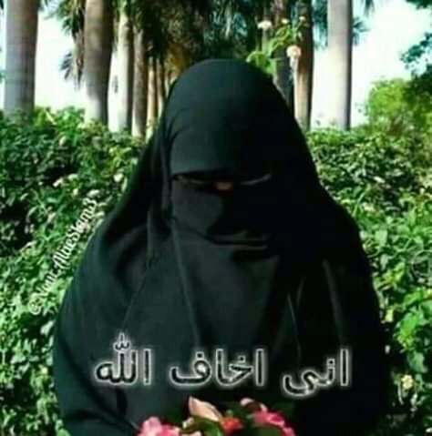 جامعه الامير حمد