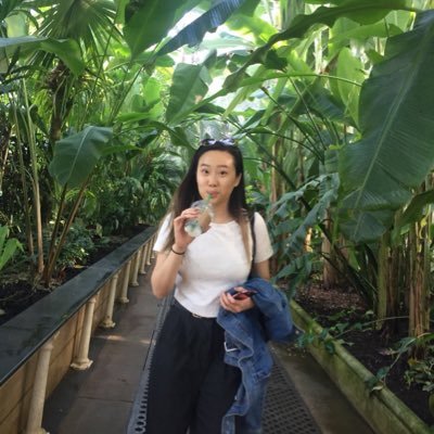 idachak's profile picture. 