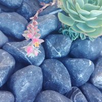 TOBY KERMAN (@severus_tav) 's Twitter Profile Photo