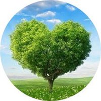 احمد البغدادي (@sameer99229766) 's Twitter Profile