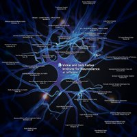 Jefferson Health Neuroscience (@neuroatjeff) 's Twitter Profile