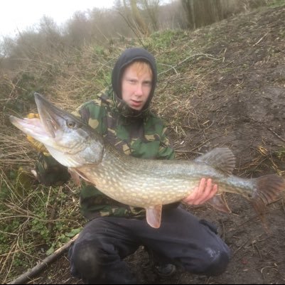 mitchmarshall9's profile picture. 