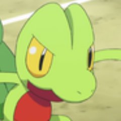 POKEMON!!! I'm am a proud member of the Pokemon TCG opening community. 
you can find my Videos on Youtube, just search for Agent Treecko!