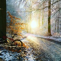 Mathias Lyng Nikolajsen (@lyngmathias) 's Twitter Profile