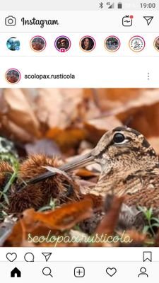 Betto411's profile picture. Vive cada segundo pk el reloj no para de correr.