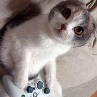 とらきち 扇抜 剣聖の袋竹刀 袋竹刀は砕いてたので図鑑 グラブル とらきち 扇抜 剣聖の袋竹刀 袋竹刀は砕いてたので図鑑 グラブル