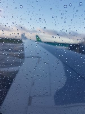 Bionicl0's profile picture. poop