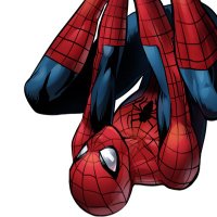 spidermans_web(@SpidermansW) 's Twitter Profileg