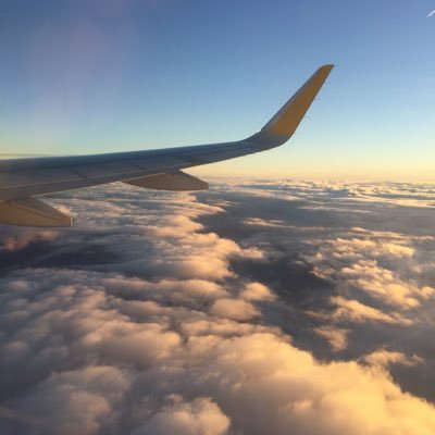 sansiroxy's profile picture. 